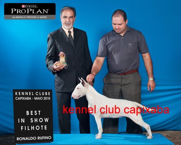 Clique sobre a foto para fechar